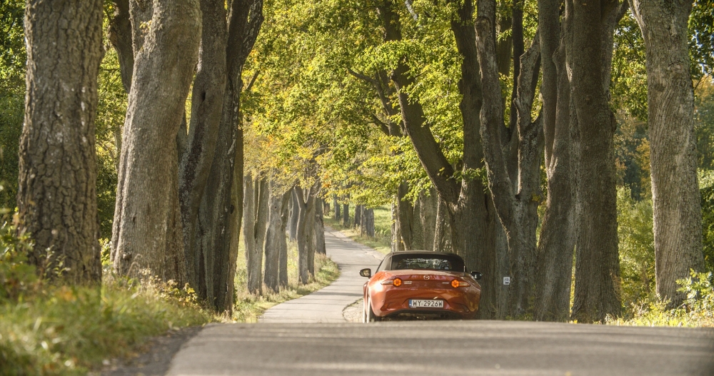 Slow Road – sztuka uważnego podróżowania